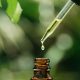natural-skin-care-serum_main natural-skin-care-serum_main